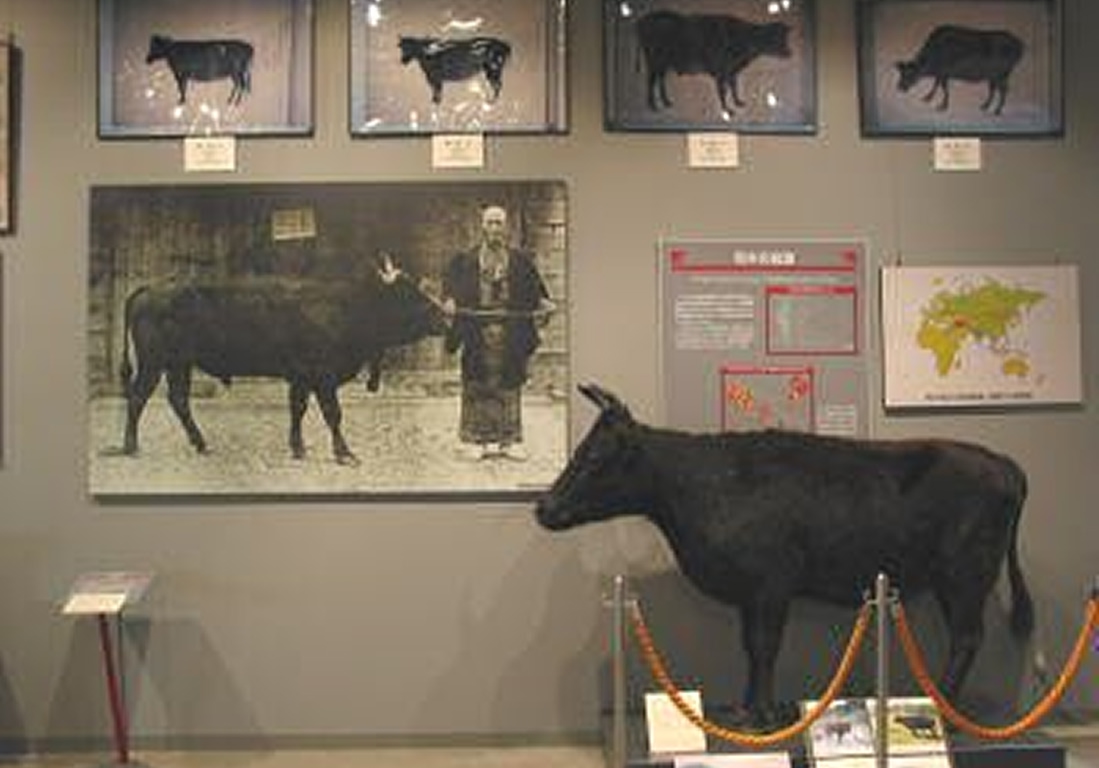 奥州市 牛の博物館